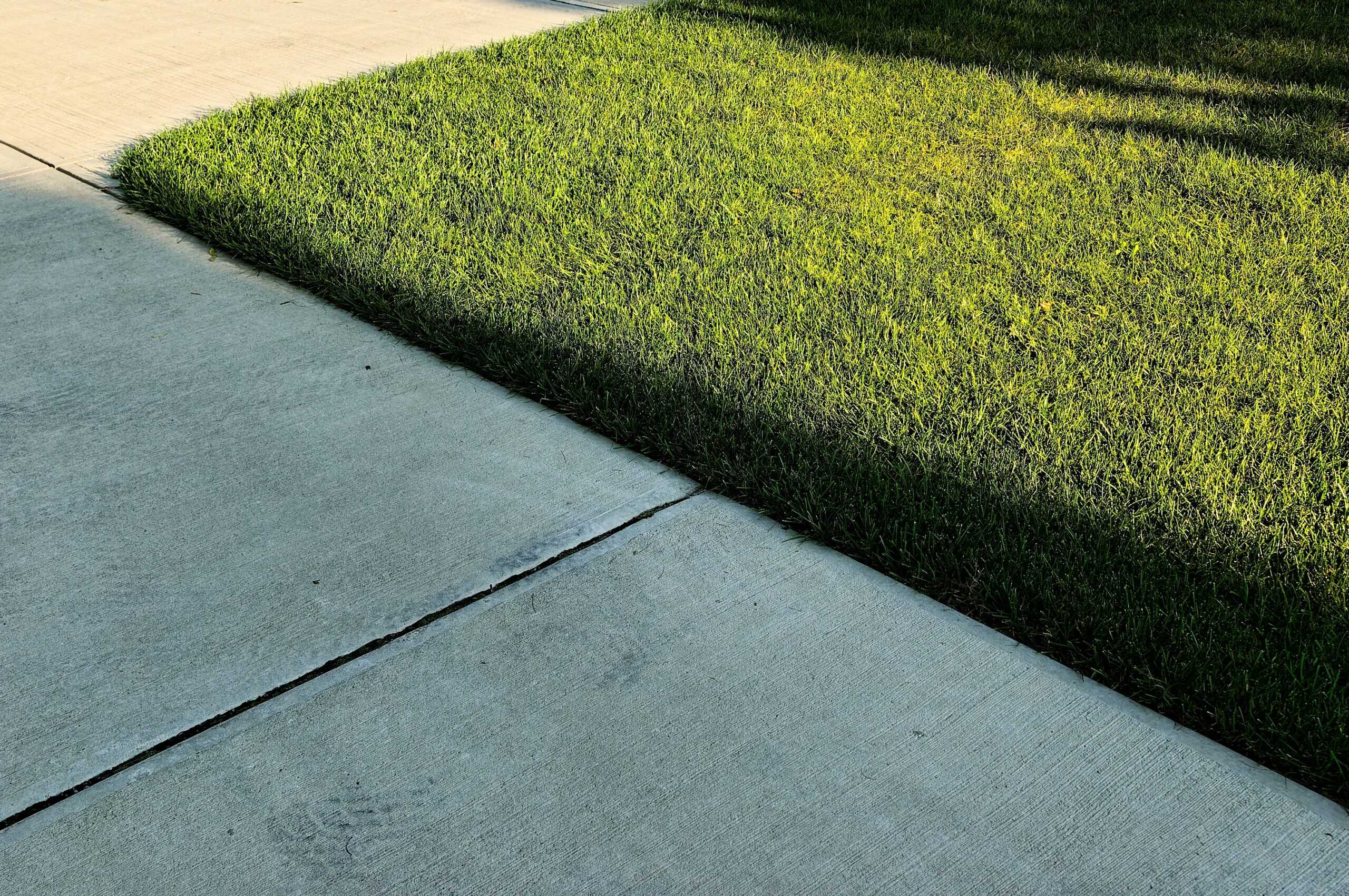 A close-up view of a concrete sidewalk meeting a patch of green grass, with part of the grass in sunlight and part in shadow.