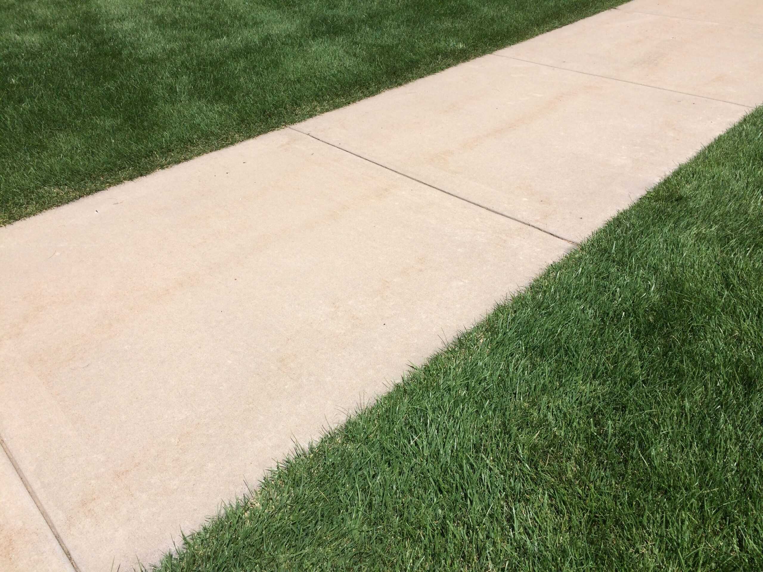A concrete sidewalk runs through neatly trimmed green grass, dividing the lawn on both sides under bright daylight.