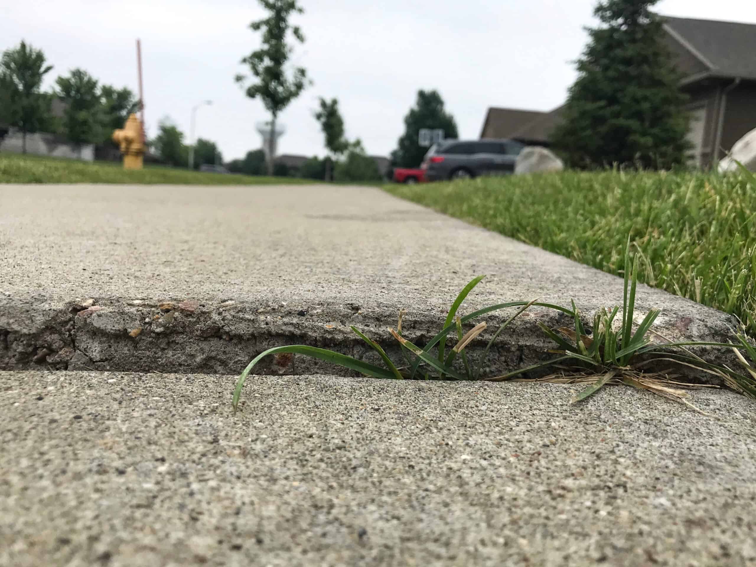 A close-up view of a sidewalk with uneven concrete slabs, where one section is raised higher than the other. Grass is growing in the gap, and trees, cars, and a fire hydrant are visible in the background.