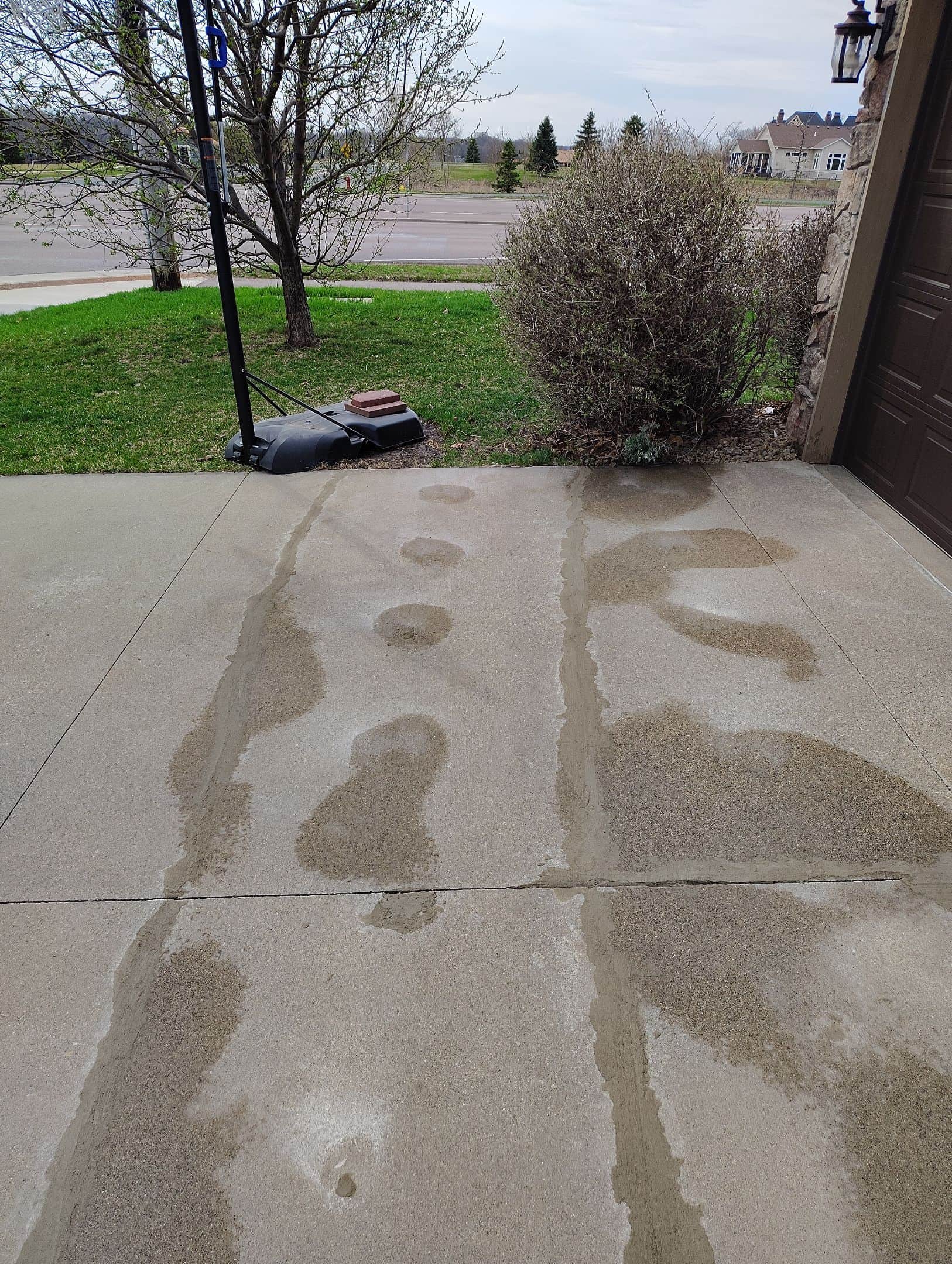 Wet footprints and streaks are visible on a concrete driveway next to a garage, with patchy grass, a bush, a tree, and a mower in the background near a road and houses.