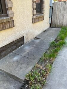 A narrow concrete pathway runs alongside a beige stucco building with brick trim. Overgrown grass and weeds border the edge, and a wooden fence is seen in the background.