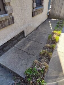 A narrow concrete walkway beside a beige stucco house, bordered by a patch of overgrown grass and weeds; sunlight casts shadows along the path and wall.